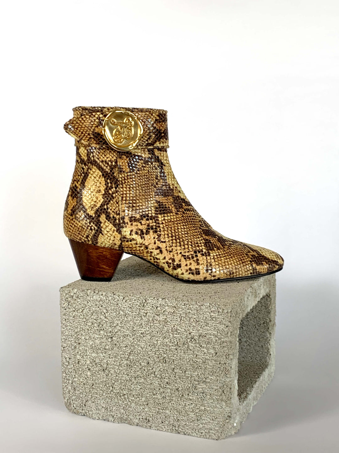 Anita - Golden Python