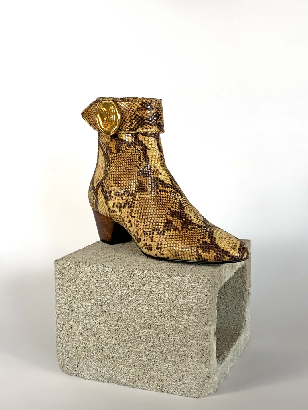 Anita - Golden Python