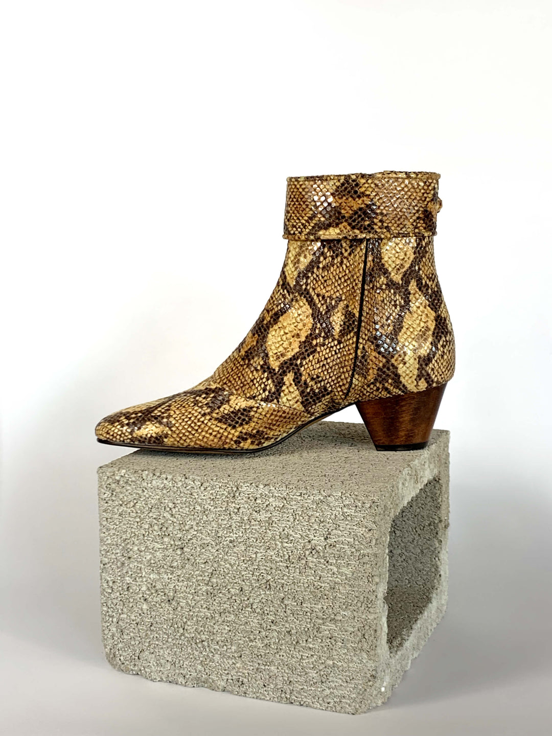 Anita - Golden Python