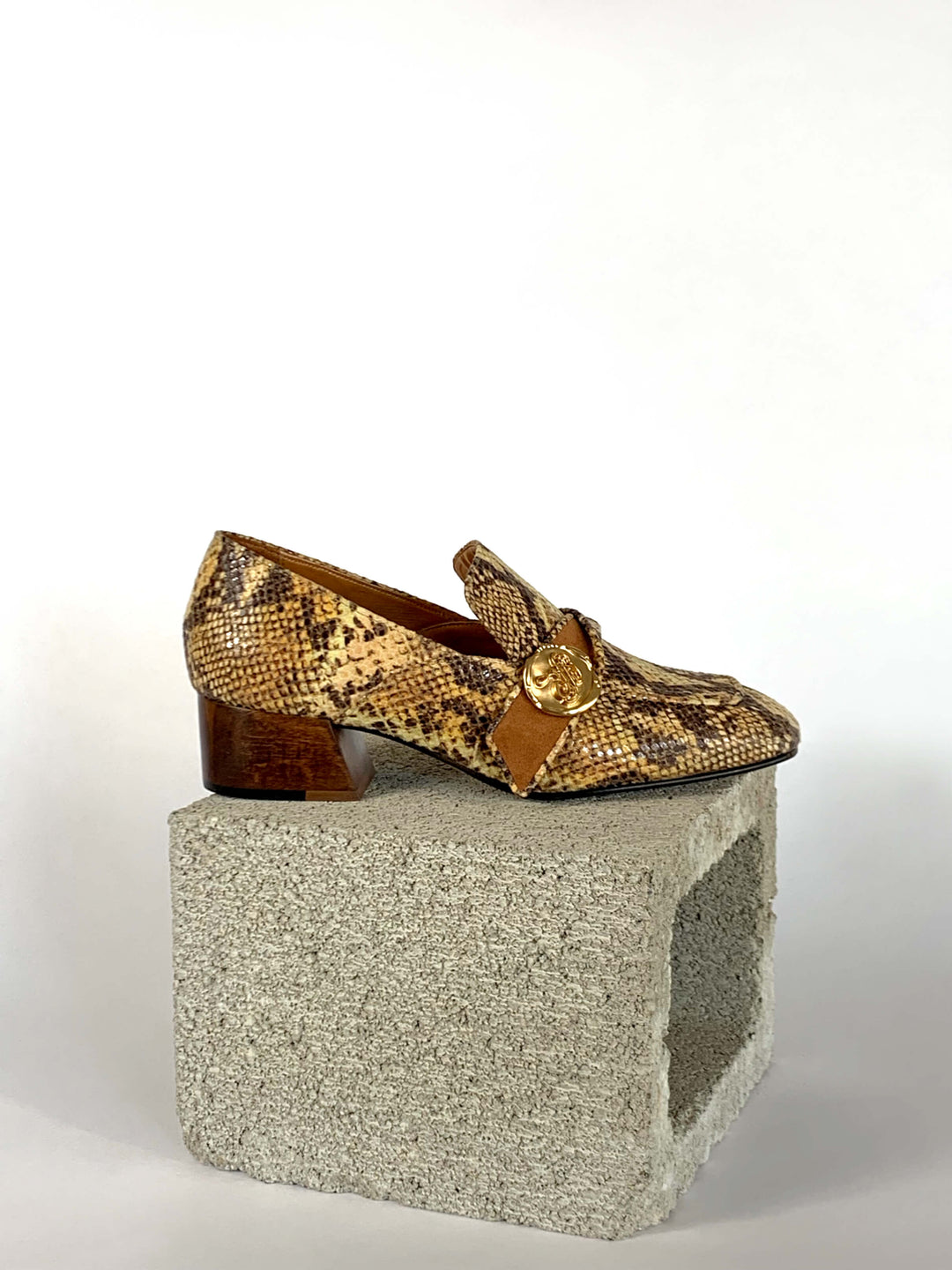 Jane - Golden Python