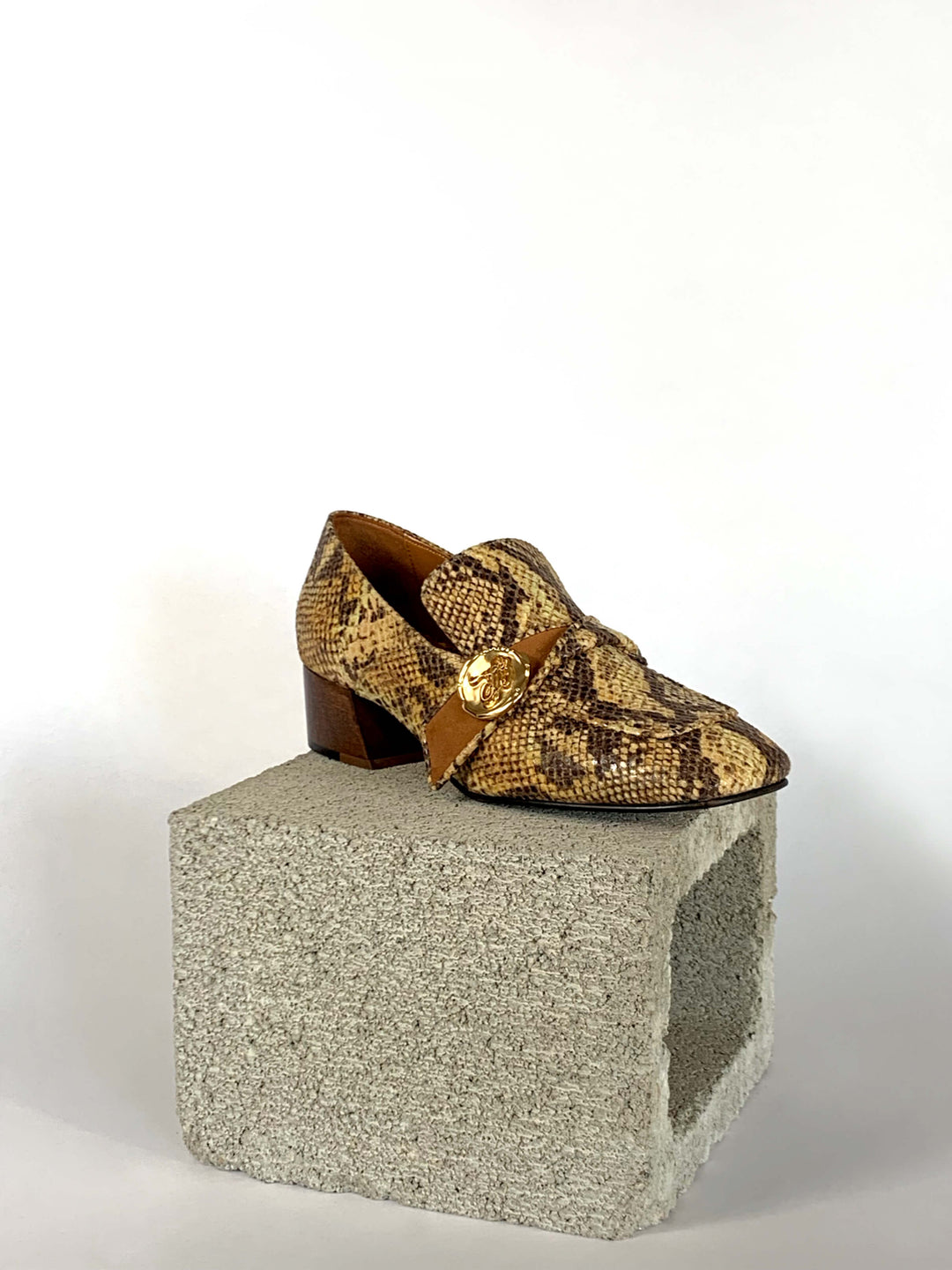 Jane - Golden Python