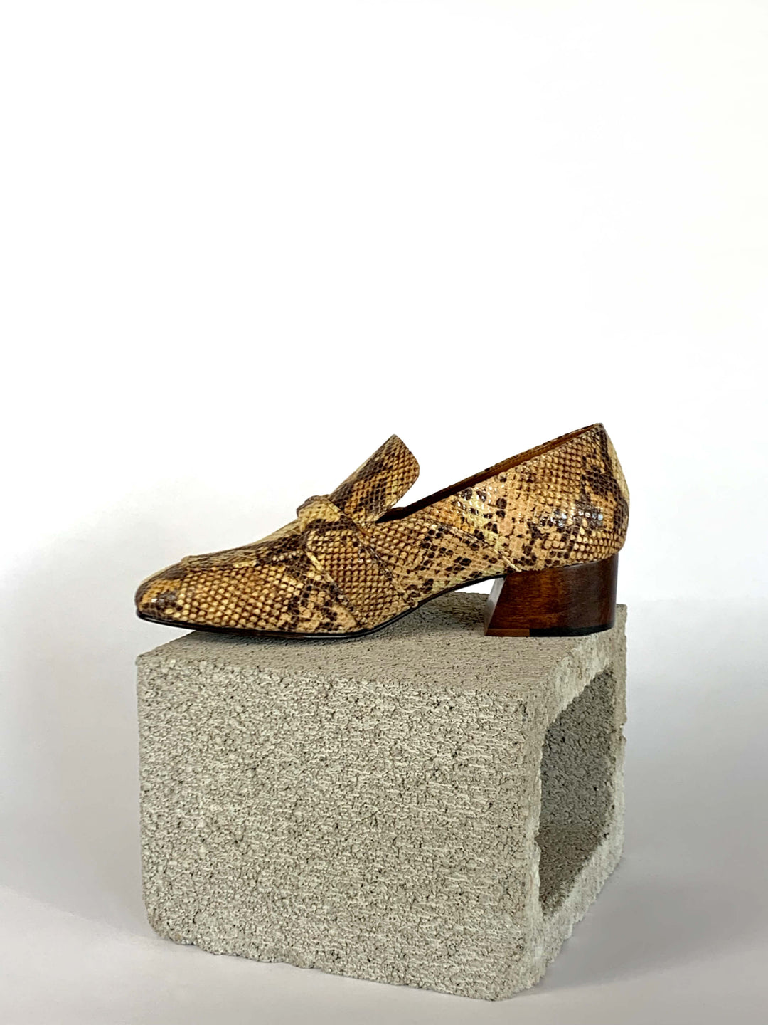 Jane - Golden Python