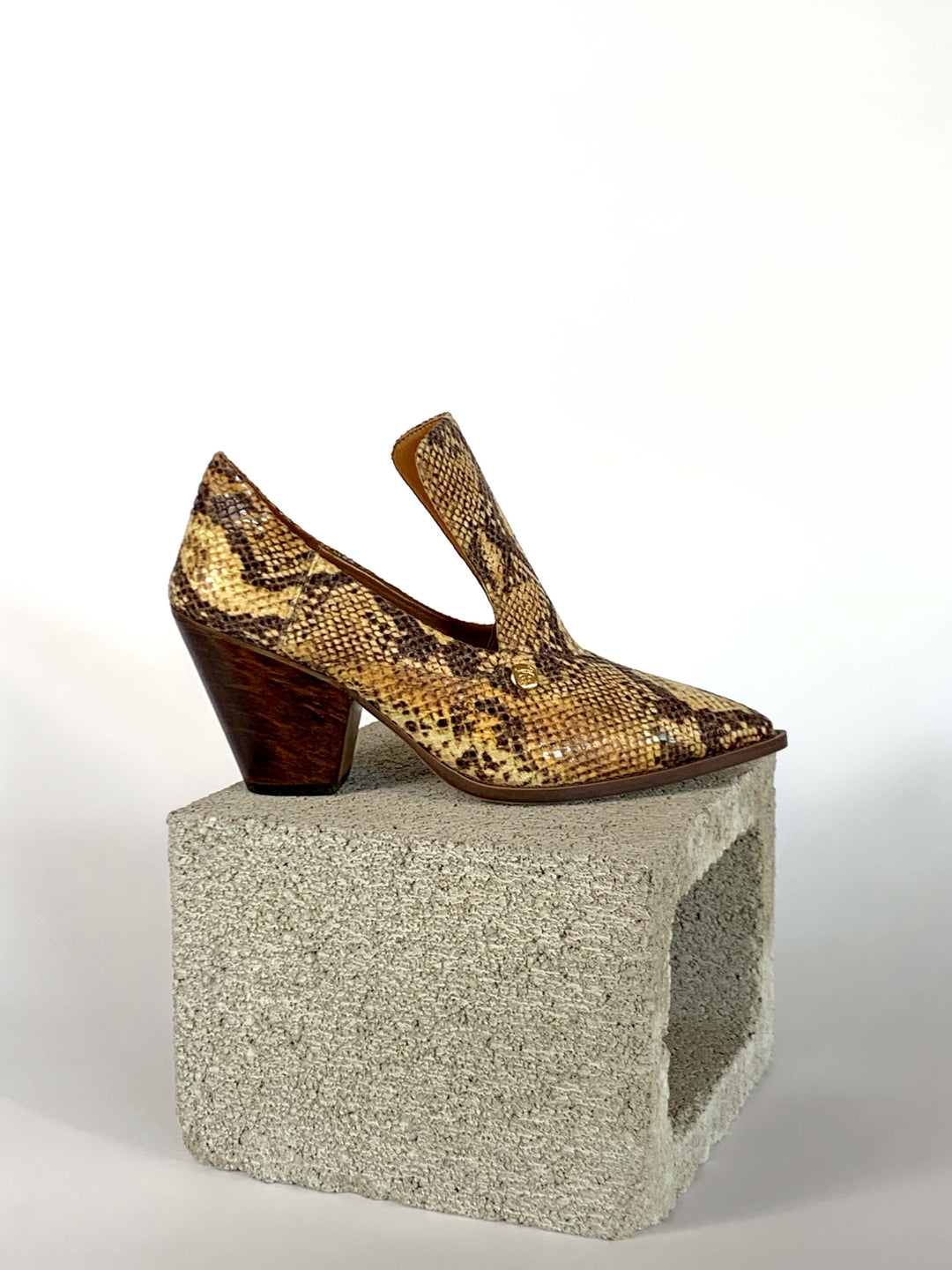 Marianne - Golden Python