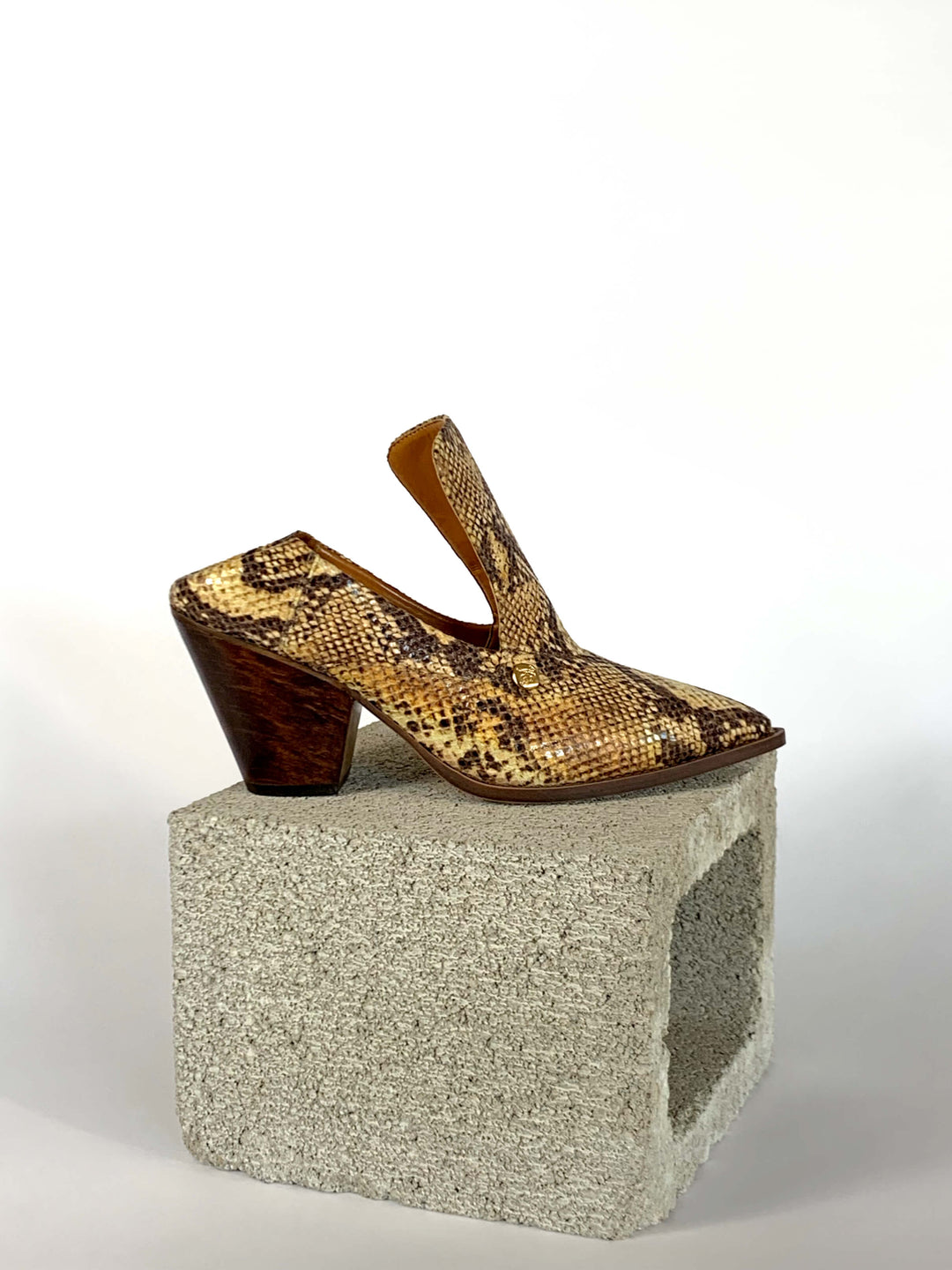 Marianne - Golden Python